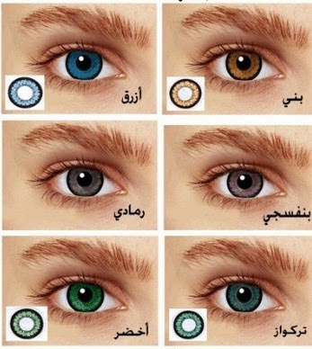 لون العينين و الوراثة الطبية في هولندا